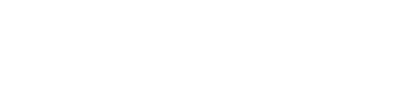 Salong Tiger Logo